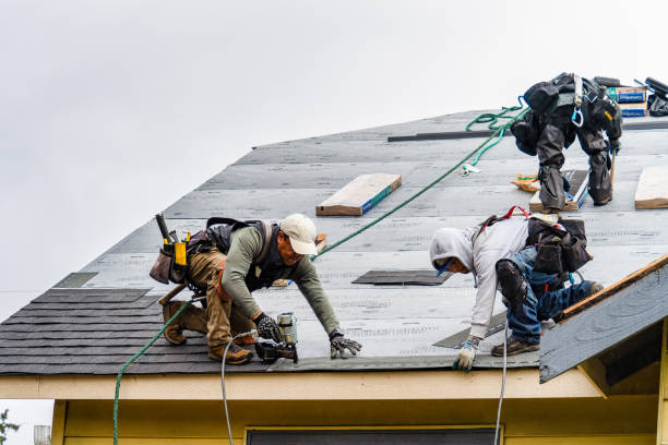Professional Gutter Installation technician working in Battery Park, VA